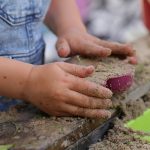 决定孩子一生的,不仅仅是成绩,而是孩子健全人格的培养