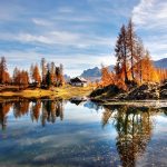 快乐的小学生活