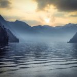 生活中的一个小镜头